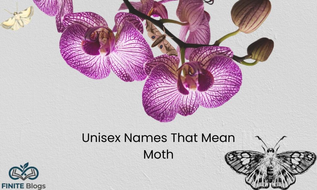 Unisex Names That Mean Moth