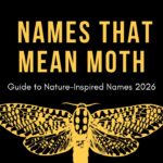names-that-mean-moth