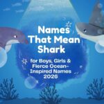 names-that-mean-shark