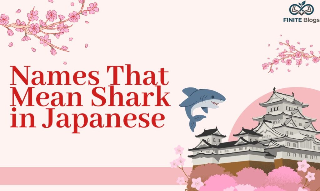 names-that-mean-shark-in-japanese